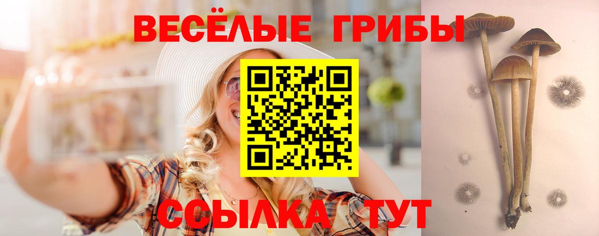 Псилоцибиновые грибы Cubensis  Галлюциногенные грибы мицелий  Вход с VPN  Каменск-Уральский 